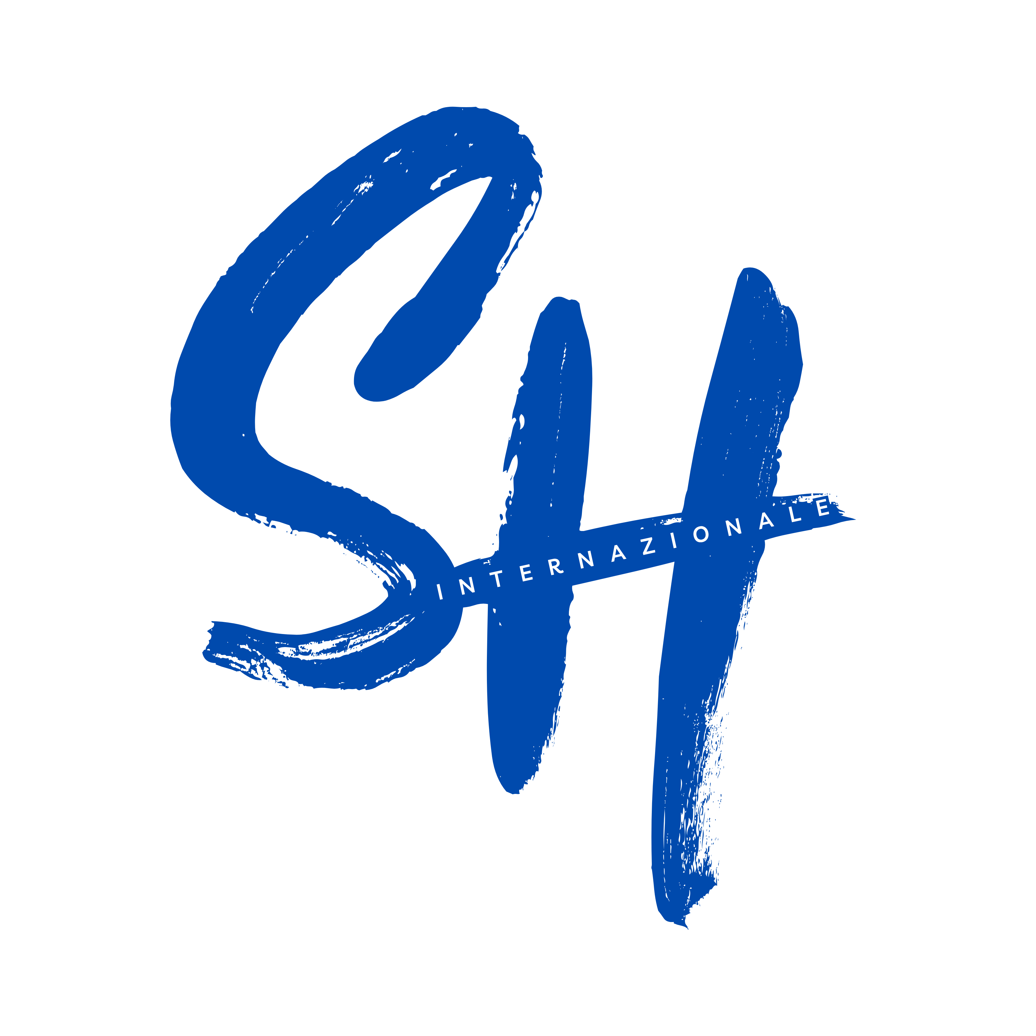 Logo Skill Hub Internazionale srls